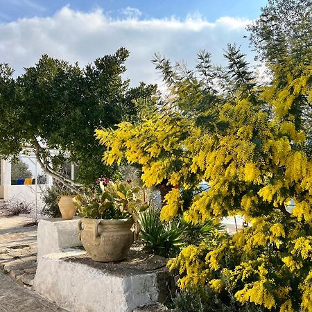 Syconium Trullo And Lamia Gea Charme And History Hotel Ostuni Bagian luar foto