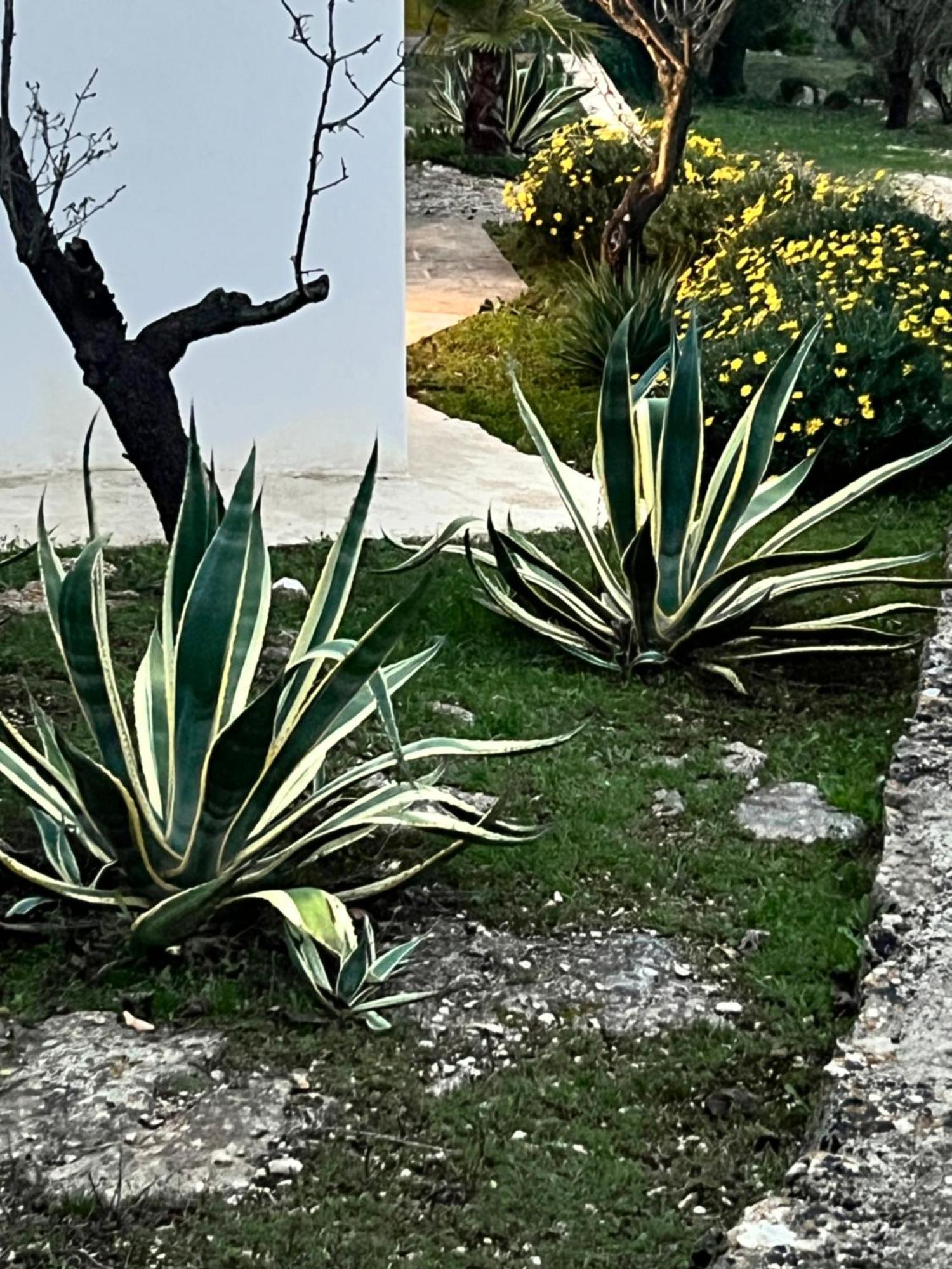 Syconium Trullo And Lamia Gea Charme And History Hotel Ostuni Bagian luar foto