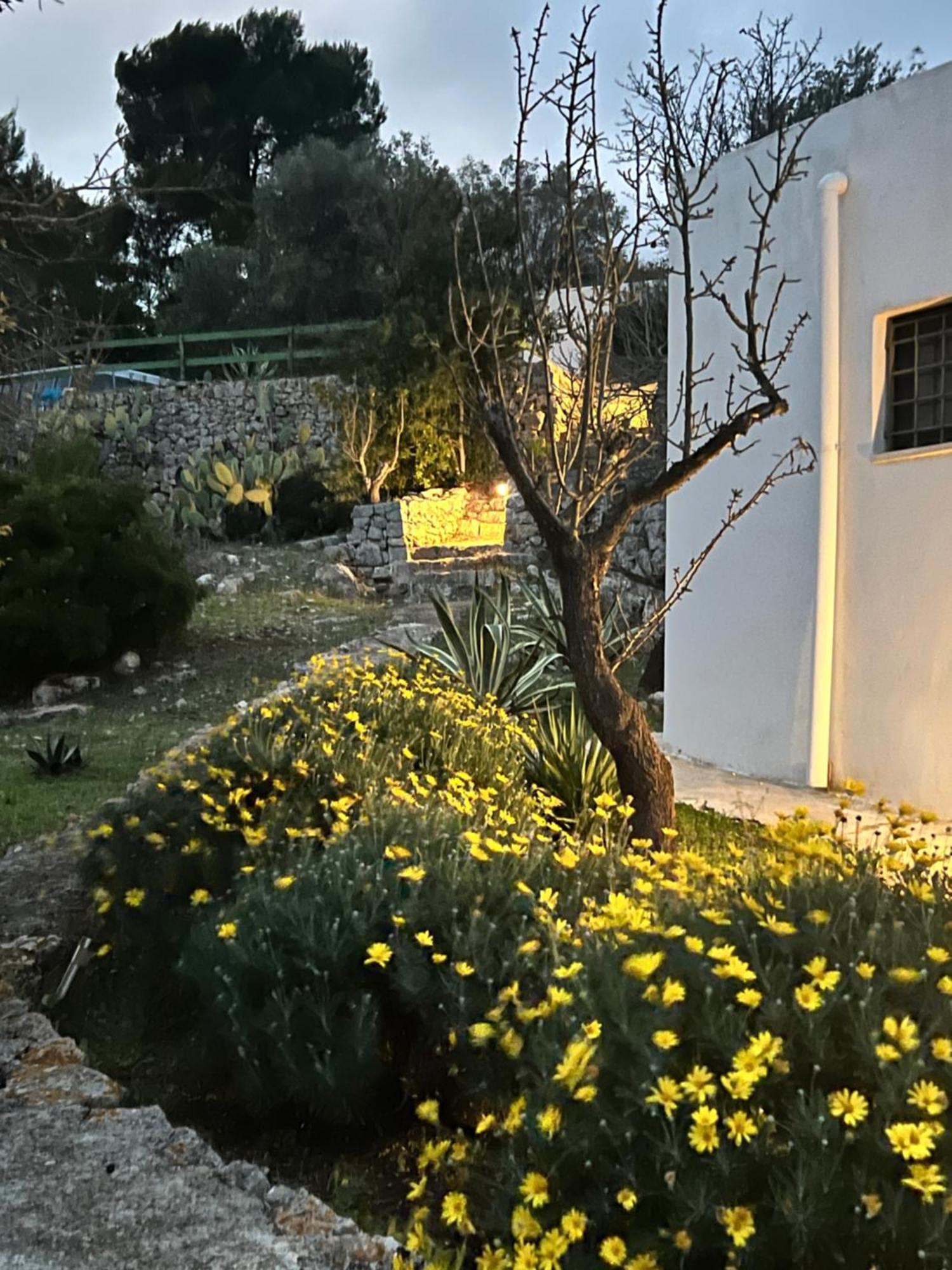 Syconium Trullo And Lamia Gea Charme And History Hotel Ostuni Bagian luar foto