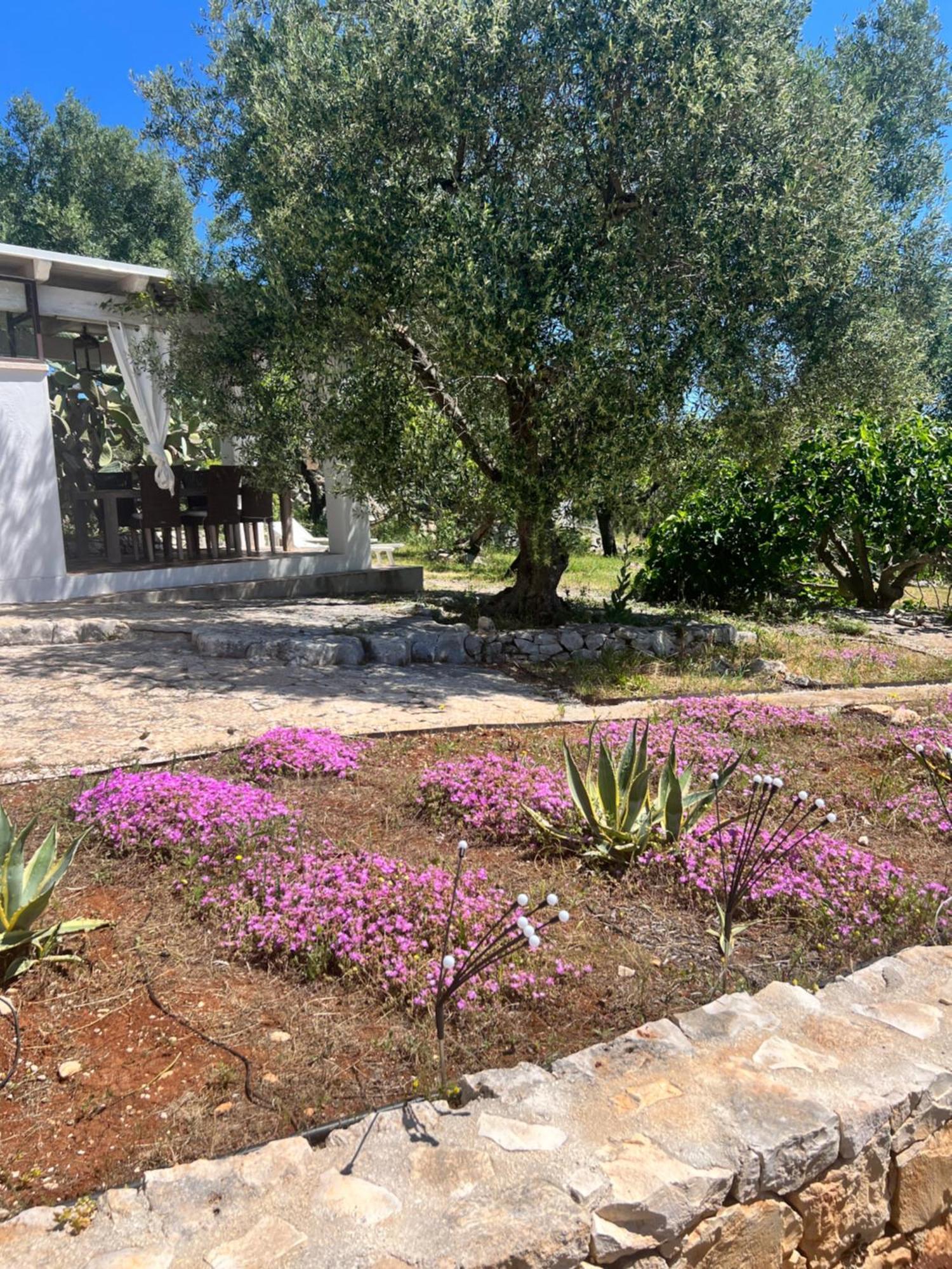 Syconium Trullo And Lamia Gea Charme And History Hotel Ostuni Bagian luar foto